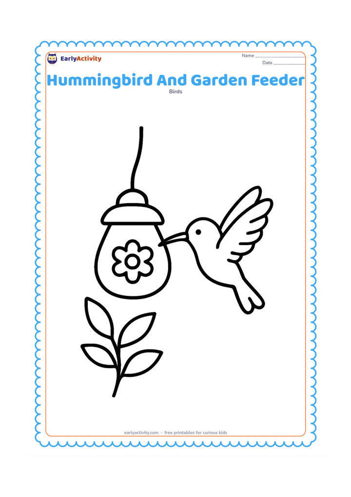 Colouring page: A hummingbird hovers beside a simple hanging garden feeder with a rounded container and a small flower-shaped opening. Add one leafy plant and a curved hanging cord.