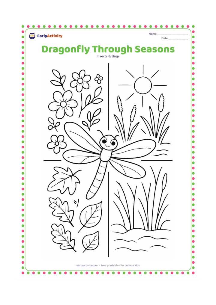Colouring page: Divide the background around one flying dragonfly into four natural seasonal areas: spring flowers, sunny summer pond plants, autumn leaves, and winter bare reeds. Keep the dragonfly…