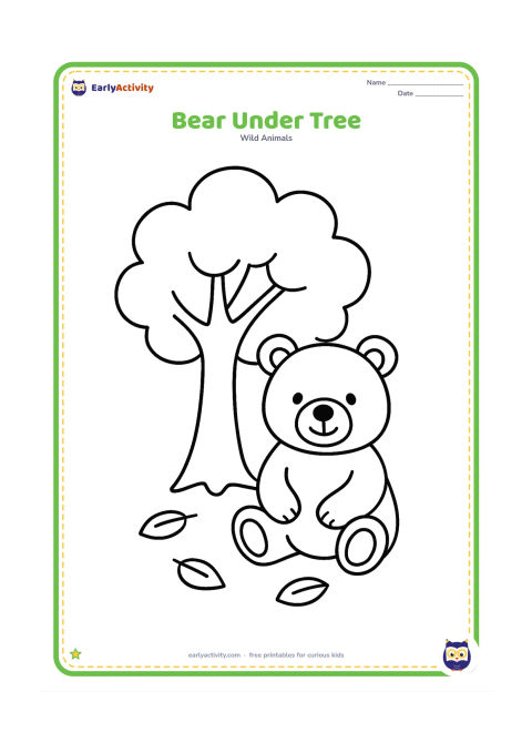 Colouring page: A bear sitting beneath one large tree with a rounded leafy crown and three fallen leaves on the ground.