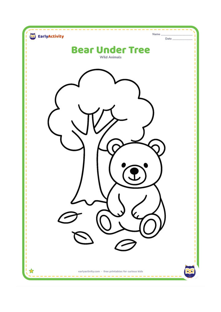 Colouring page: A bear sitting beneath one large tree with a rounded leafy crown and three fallen leaves on the ground.