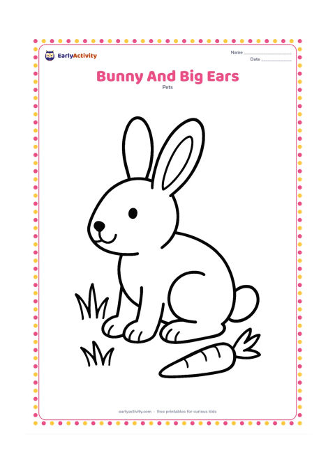Colouring page: Draw a close view of a seated bunny turned slightly sideways so both long ears, four paws, and the rounded back legs are easy to see. Add a few grass blades and one small carrot nearby.