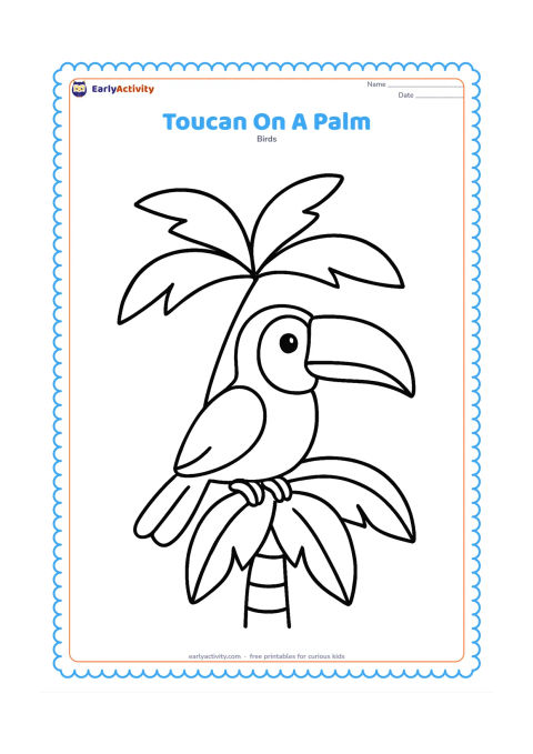 Colouring page: A single toucan perches on a broad palm leaf, with a short palm trunk below and three large palm fronds above. Show the bird in a simple side view with its bill pointing outward.