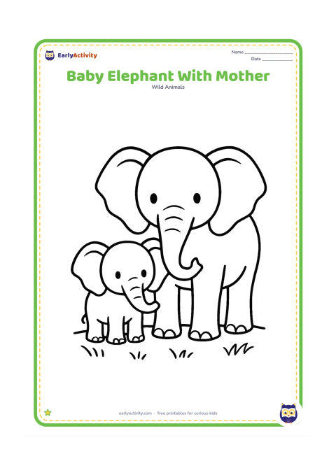 Colouring page: Draw a small elephant calf standing close beside a larger adult elephant. Both face forward with their trunks slightly raised, on a simple patch of grass.