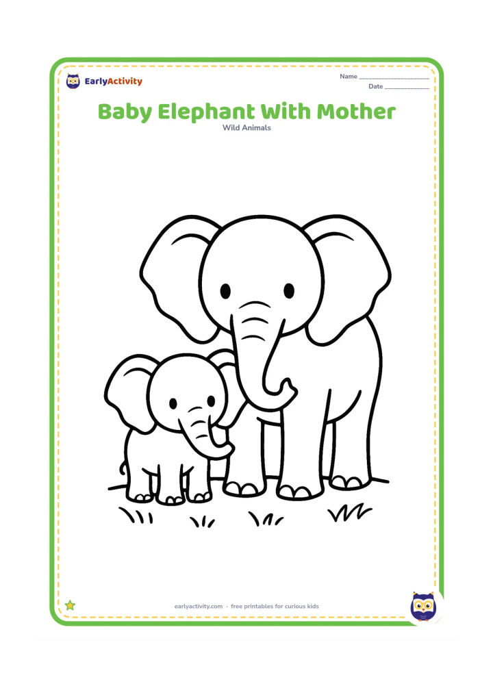 Colouring page: Draw a small elephant calf standing close beside a larger adult elephant. Both face forward with their trunks slightly raised, on a simple patch of grass.