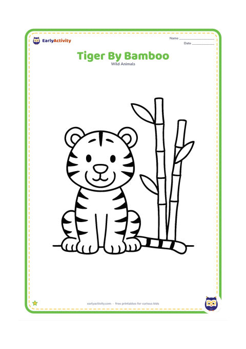 Colouring page: A seated tiger looks toward two tall bamboo stems with large simple leaves. Show the tiger's full body, paws, stripes, and tail beside a flat ground line.