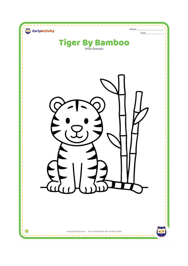 Colouring page: A seated tiger looks toward two tall bamboo stems with large simple leaves. Show the tiger's full body, paws, stripes, and tail beside a flat ground line.