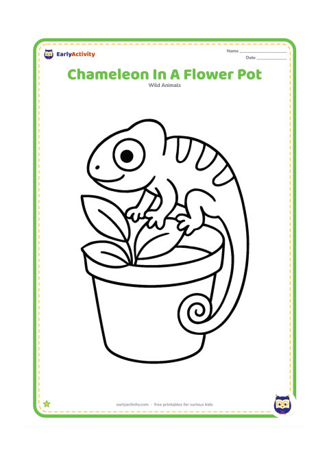 Colouring page: A chameleon climbs over the rim of a large flower pot containing a few broad leaves. Show its curled tail outside the pot and its gripping feet on the rim.