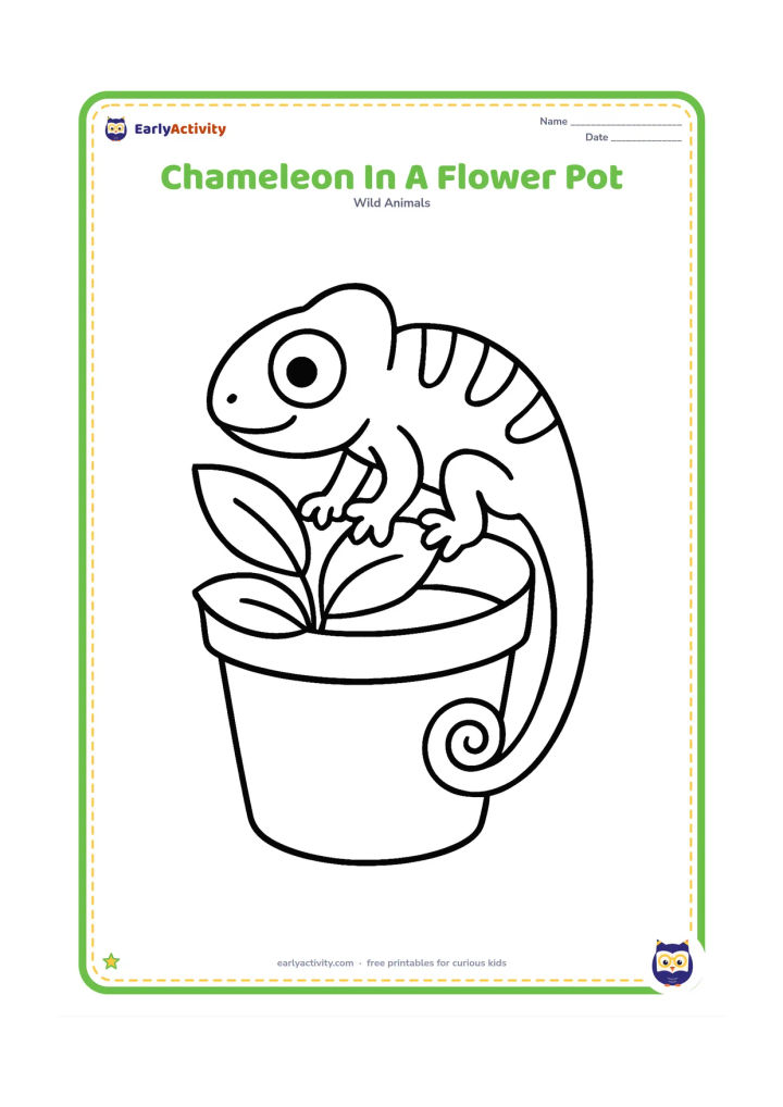 Colouring page: A chameleon climbs over the rim of a large flower pot containing a few broad leaves. Show its curled tail outside the pot and its gripping feet on the rim.
