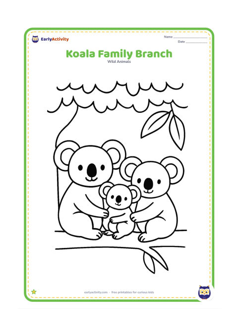 Colouring page: Draw two adult koalas and one joey sitting together along a thick horizontal branch. Add a simple leafy canopy and three large eucalyptus leaves.