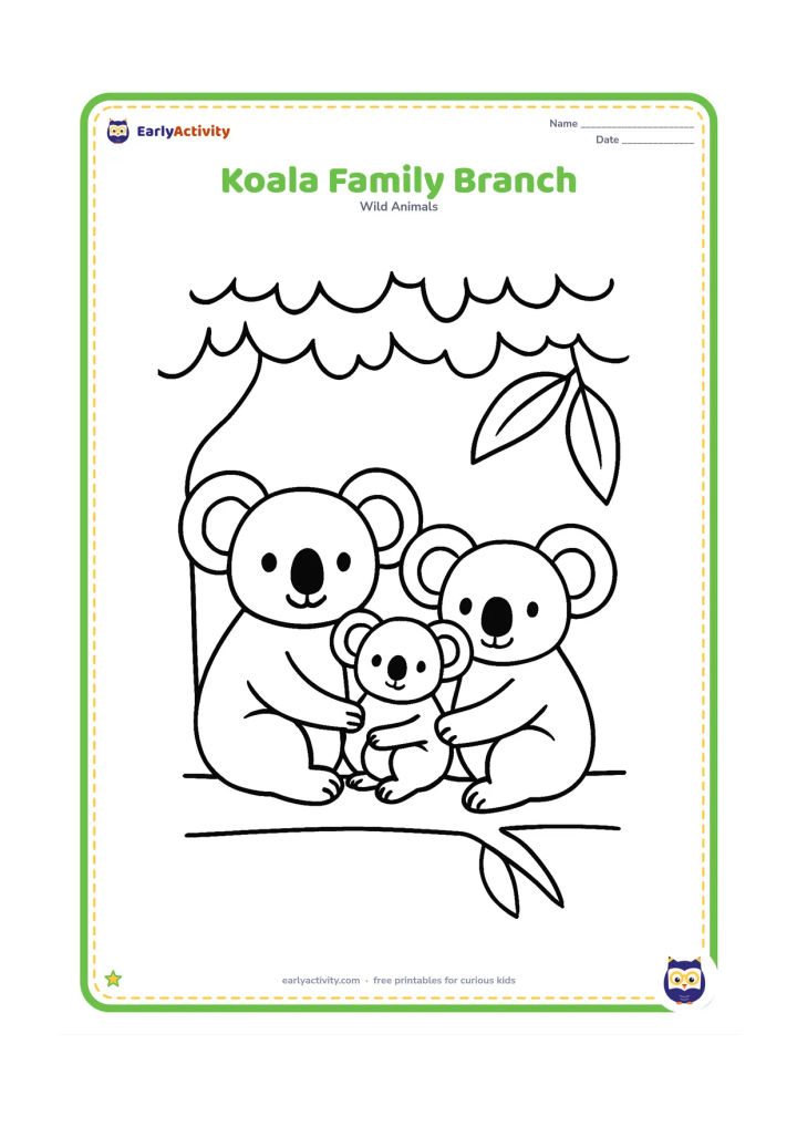 Colouring page: Draw two adult koalas and one joey sitting together along a thick horizontal branch. Add a simple leafy canopy and three large eucalyptus leaves.