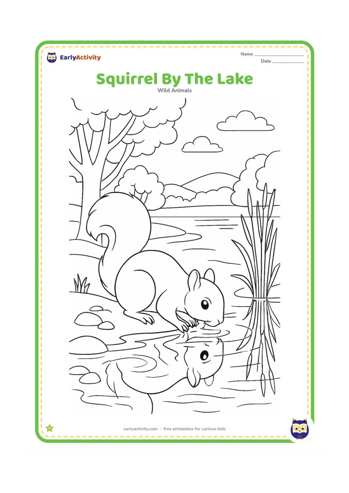 Colouring page: Draw a squirrel drinking at the edge of a woodland lake, with reflected trees, reeds, stones, water ripples, and distant hills.