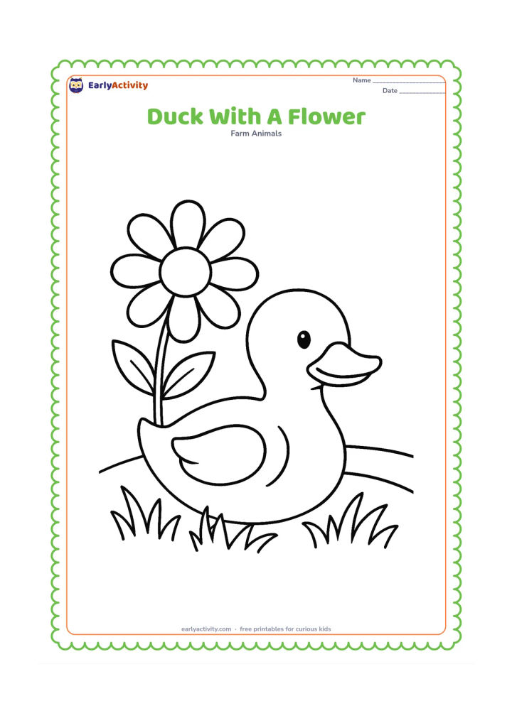 Colouring page: A duck sits in grass beside one oversized daisy with a round centre and broad petals. Add two leaves and a small curved pond edge in the background.