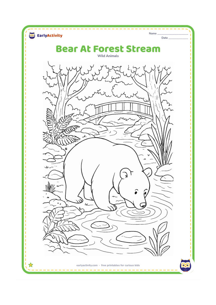 Colouring page: A bear drinks from a clear forest stream surrounded by ferns, mossy stones, reeds, tree roots, and a small wooden footbridge in the background.