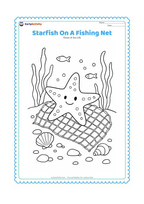 Colouring page: Draw a starfish safely resting on a loose, abandoned fishing net on the seabed, surrounded by shells, seaweed, rocks and small fish.