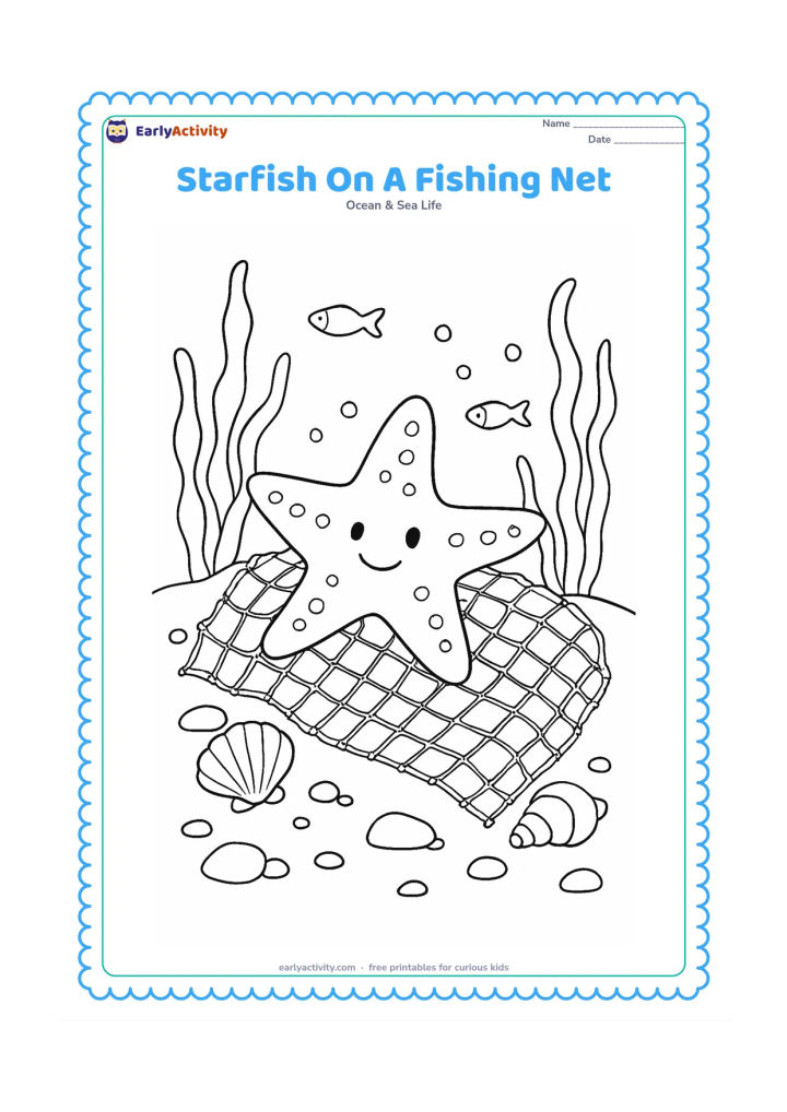 Colouring page: Draw a starfish safely resting on a loose, abandoned fishing net on the seabed, surrounded by shells, seaweed, rocks and small fish.