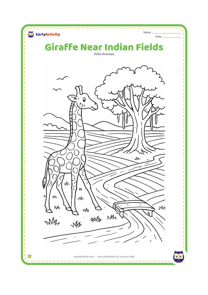 Colouring page: A giraffe walks beside patterned Indian crop fields and a narrow irrigation channel. Add a banyan-like tree, a simple rural footbridge, distant low hills, birds and tufts of grass,…