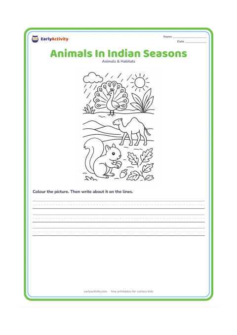 Worksheet: Show three connected seasonal scenes: a peacock in monsoon rain near green plants, a camel travelling across a sunny desert, and a squirrel gathering food among dry autumn leaves. Give…