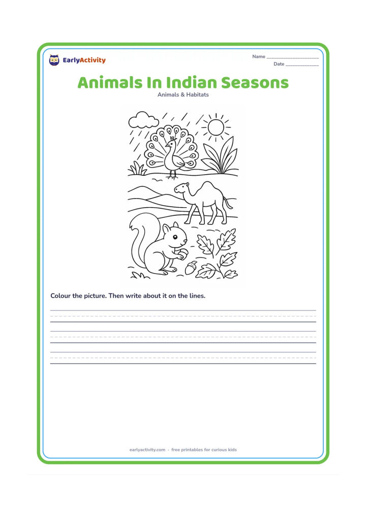 Worksheet: Show three connected seasonal scenes: a peacock in monsoon rain near green plants, a camel travelling across a sunny desert, and a squirrel gathering food among dry autumn leaves. Give…
