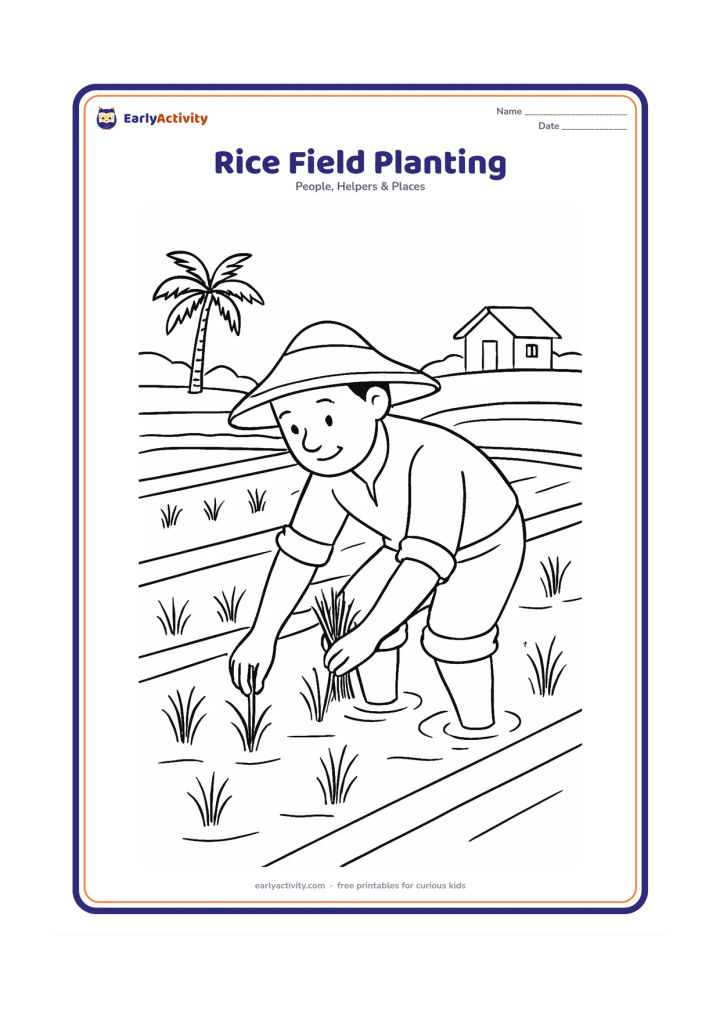 Colouring page: An Indian farmer wearing a simple sun hat plants rice seedlings in shallow water-filled rows. Show a distant palm tree, a narrow bund between fields, and a small village house.