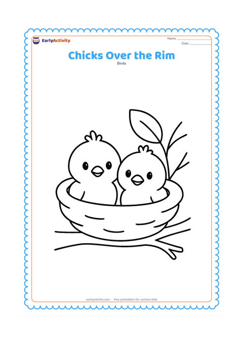 Colouring page: Two fluffy chicks peek over the wide rim of a nest on a low branch. Add one large leaf and a few simple twigs behind them.