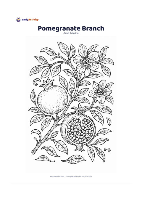 Colouring page: Show a pomegranate branch with glossy leaves, bold flowers, ripe fruits, and one opened fruit revealing its many seeds. Add a few curling twigs and fallen leaves beneath it.