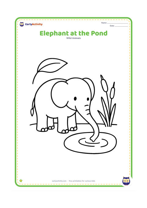 Colouring page: Draw one elephant standing beside a small pond, dipping its trunk toward the water. Add a few large reeds and one broad tree leaf.