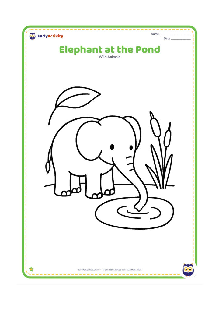 Colouring page: Draw one elephant standing beside a small pond, dipping its trunk toward the water. Add a few large reeds and one broad tree leaf.