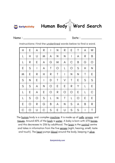 Word search worksheet with a human body title, name and date lines, a letter grid, and a short body facts paragraph.
