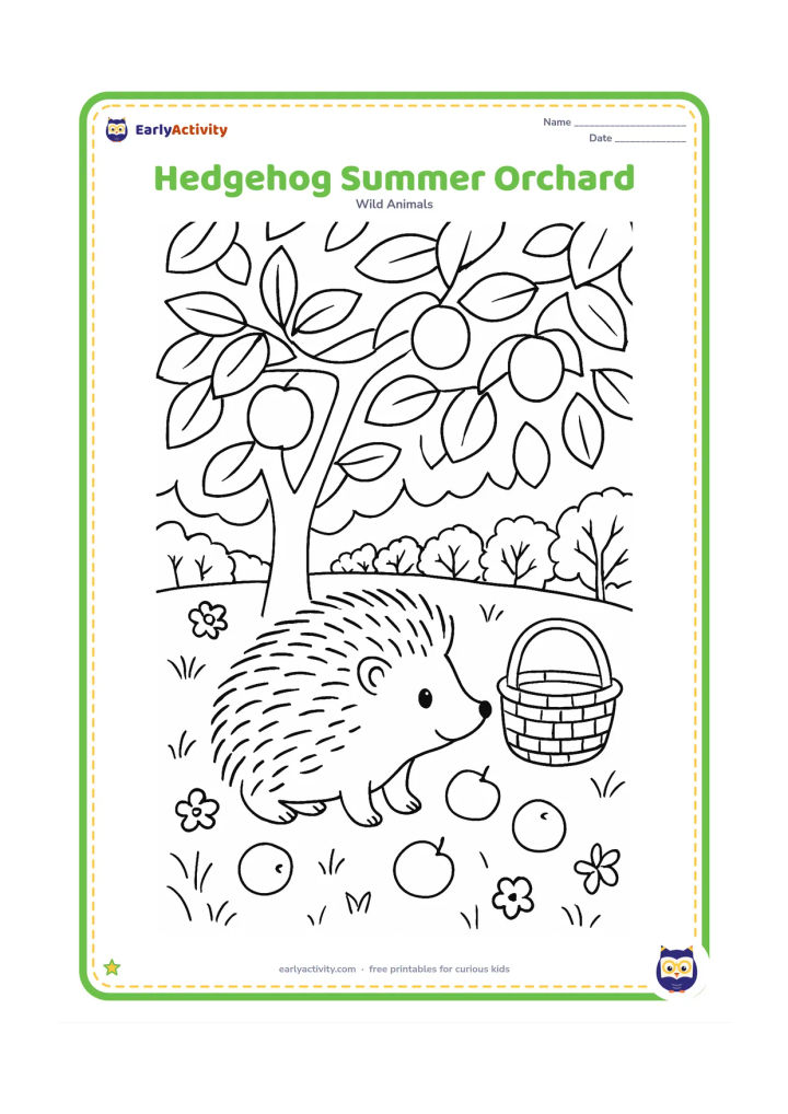 Colouring page: Draw a hedgehog beneath a fruit tree in summer, surrounded by fallen fruit, grass, small flowers and dappled tree leaves. Include a woven basket and a distant orchard row.