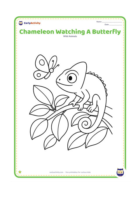 Colouring page: A chameleon balances on a leafy branch while looking toward a butterfly hovering beside it. Include several overlapping leaves, a curled tail and feet wrapped around the branch.
