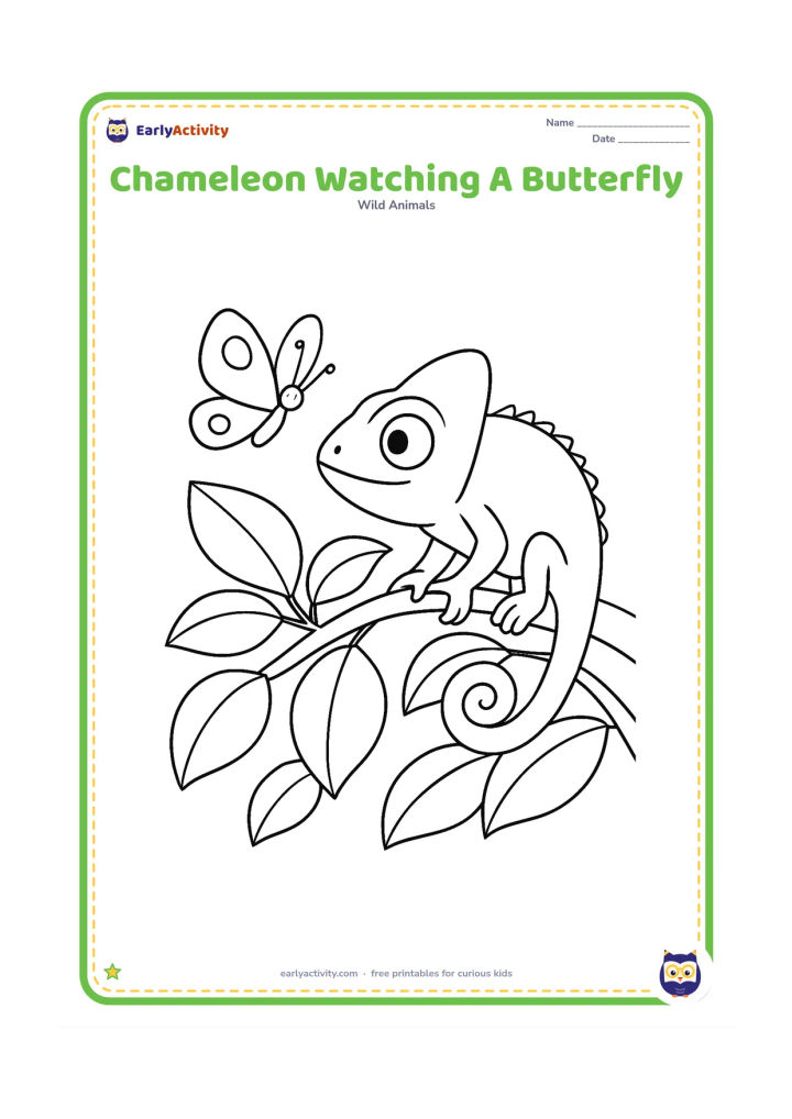 Colouring page: A chameleon balances on a leafy branch while looking toward a butterfly hovering beside it. Include several overlapping leaves, a curled tail and feet wrapped around the branch.