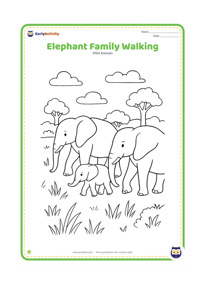 Colouring page: Draw two adult elephants and one calf walking in a line through tall grass, with the calf between the adults. Add scattered grasses, low bushes and distant rounded trees.