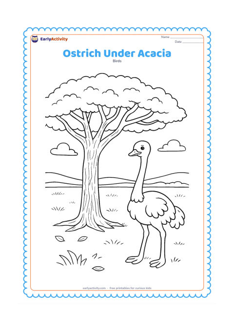 Colouring page: An ostrich stands in shade beneath a wide acacia tree, with textured bark, a broad canopy and a few fallen leaves. The open savanna extends behind the tree.