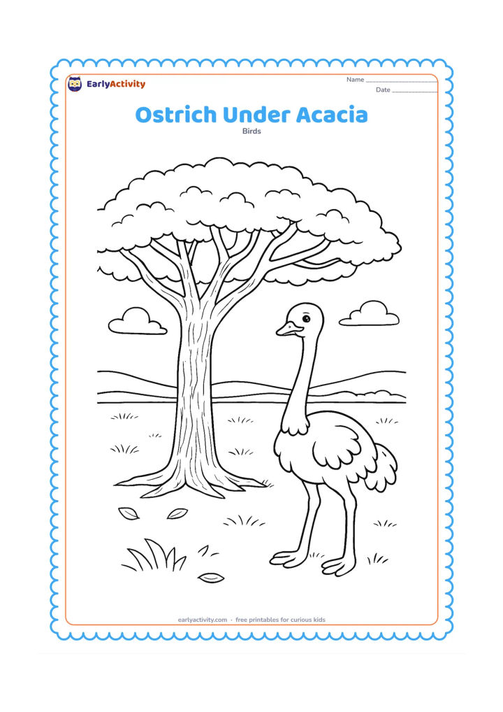 Colouring page: An ostrich stands in shade beneath a wide acacia tree, with textured bark, a broad canopy and a few fallen leaves. The open savanna extends behind the tree.