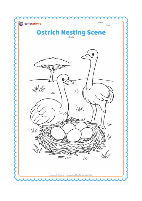 Colouring page: A parent ostrich sits beside a large nest while another adult stands nearby, with several eggs, surrounding grass, scattered twigs and a distant acacia tree. Show the nest from a…