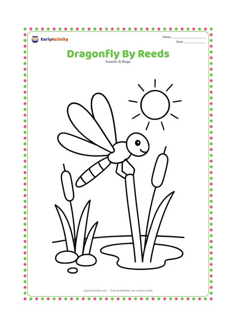 Colouring page: A dragonfly perches on one tall reed beside a small pond edge, with three broad reeds, a few pebbles, and a sun in the sky. Show the dragonfly in a clear side view.