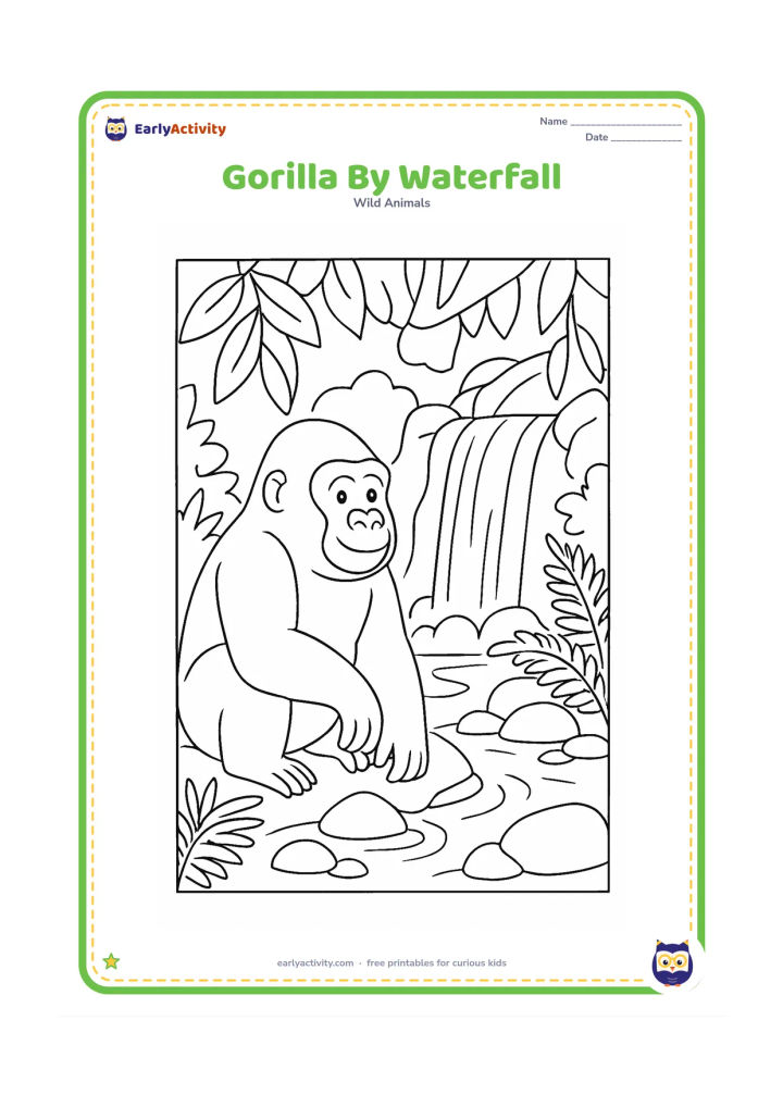Colouring page: A seated gorilla rests beside a small rainforest waterfall flowing into a shallow pool. Include rocks, ferns and hanging leaves around the water.