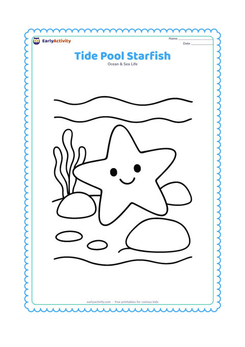 Colouring page: Draw a large starfish in a shallow rocky tide pool with two chunky rocks and one simple seaweed plant.