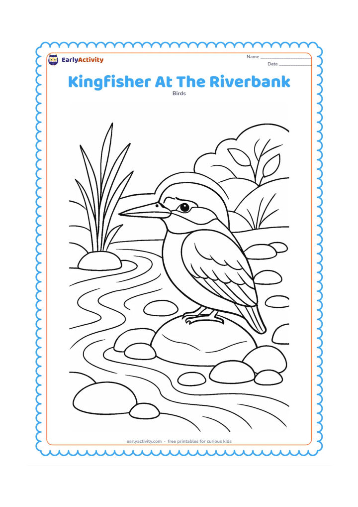 Colouring page: A kingfisher stands on a flat stone beside a flowing river, looking toward the water. Include several rounded river stones, reeds, a leafy bank and gentle current lines.