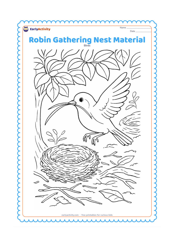 Colouring page: Draw a robin carrying a long grass stem toward a nest under a leafy shrub. Include scattered twigs, moss, broad leaves, a tree root and a second unfinished nest in the background.
