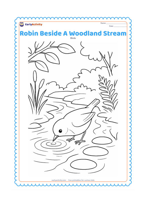 Colouring page: Draw a robin drinking beside a shallow woodland stream, with its beak near the water. Include stepping stones, reeds, ferns, overhanging branches and reflected ripples.