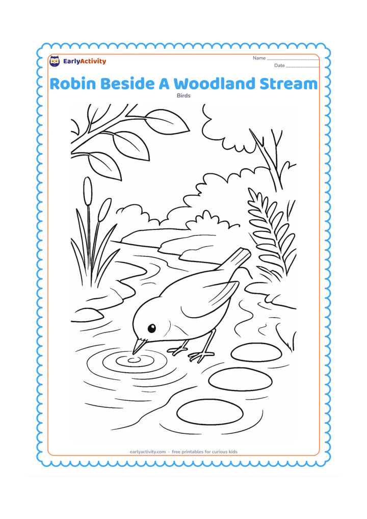 Colouring page: Draw a robin drinking beside a shallow woodland stream, with its beak near the water. Include stepping stones, reeds, ferns, overhanging branches and reflected ripples.
