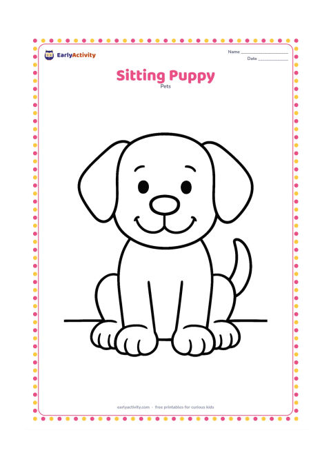 Colouring page: Draw a cheerful puppy sitting front-facing with a large round head, floppy ears, big paws, and a curved tail. Keep the background empty except for a simple ground line.