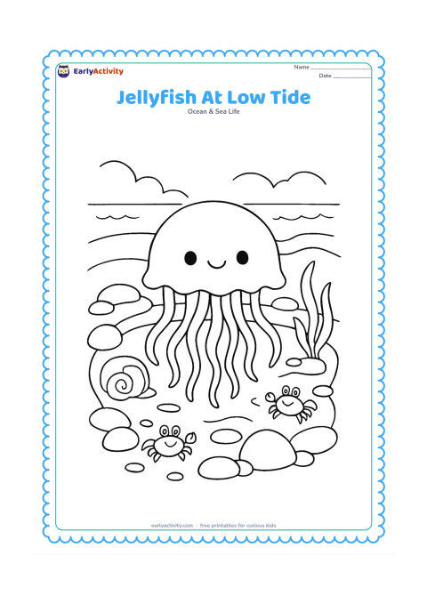 Colouring page: Draw a jellyfish in a shallow tidal pool, surrounded by rounded stones, a shell, seaweed and two small crabs. Show a curved shoreline and distant waves behind the pool.