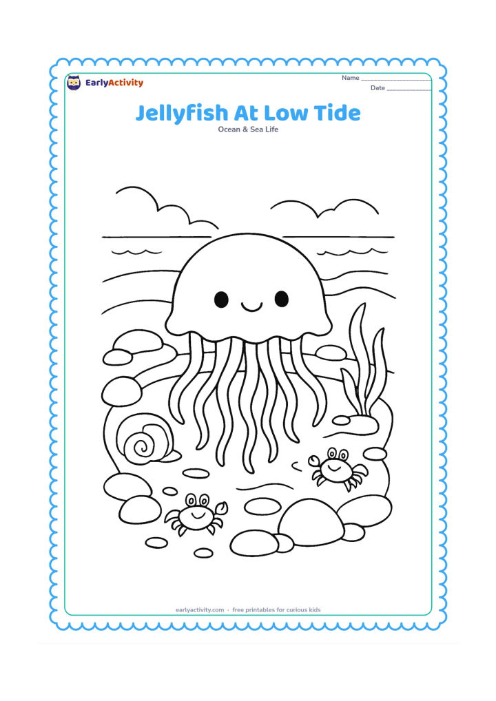 Colouring page: Draw a jellyfish in a shallow tidal pool, surrounded by rounded stones, a shell, seaweed and two small crabs. Show a curved shoreline and distant waves behind the pool.
