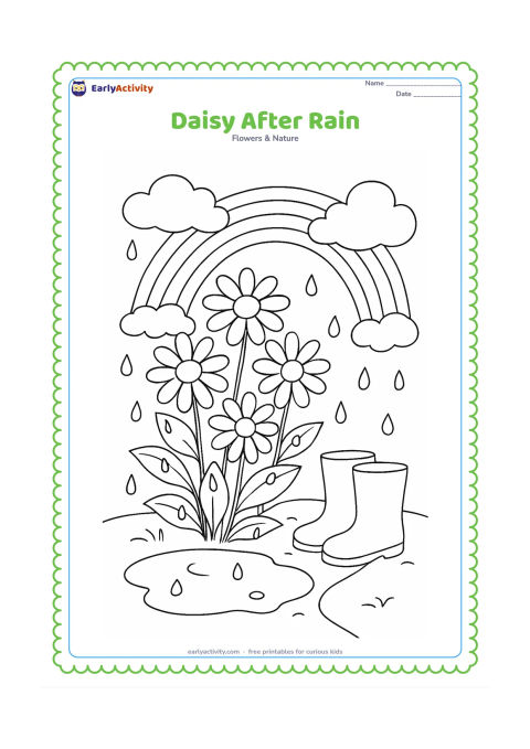 Colouring page: Draw a group of daisies after a shower, with raindrops on the leaves, a small puddle, a rainbow and clouds clearing in the background. Include a pair of simple rain boots beside the path.