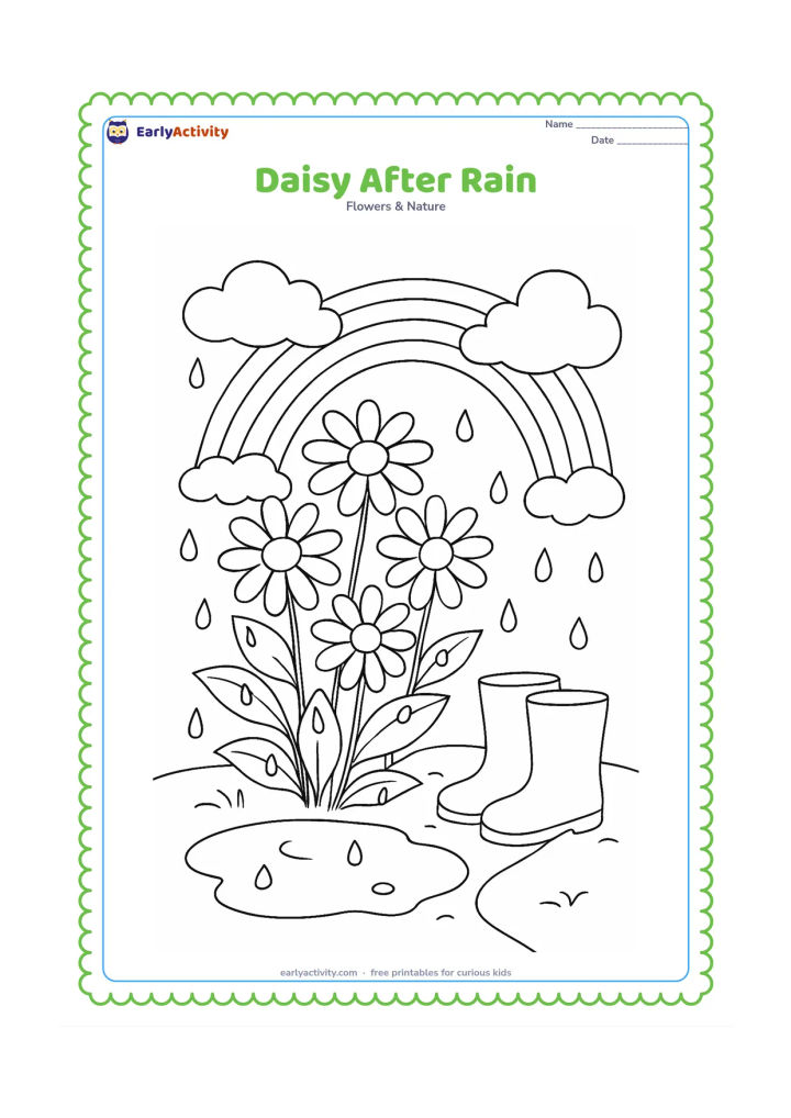 Colouring page: Draw a group of daisies after a shower, with raindrops on the leaves, a small puddle, a rainbow and clouds clearing in the background. Include a pair of simple rain boots beside the path.