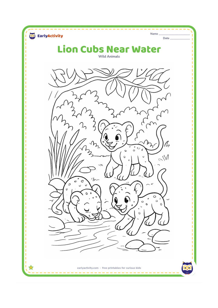 Colouring page: Three lion cubs with small coat spots drink and play at the edge of a shaded stream, with reeds, smooth stones, overhanging branches, and a leafy forest background. Keep the cubs safe…