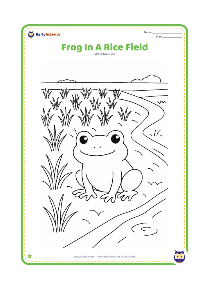 Colouring page: Draw a frog sitting between rows of young rice plants beside a small irrigation channel. Add a raised earthen bank, a few water ripples and a simple distant field boundary.