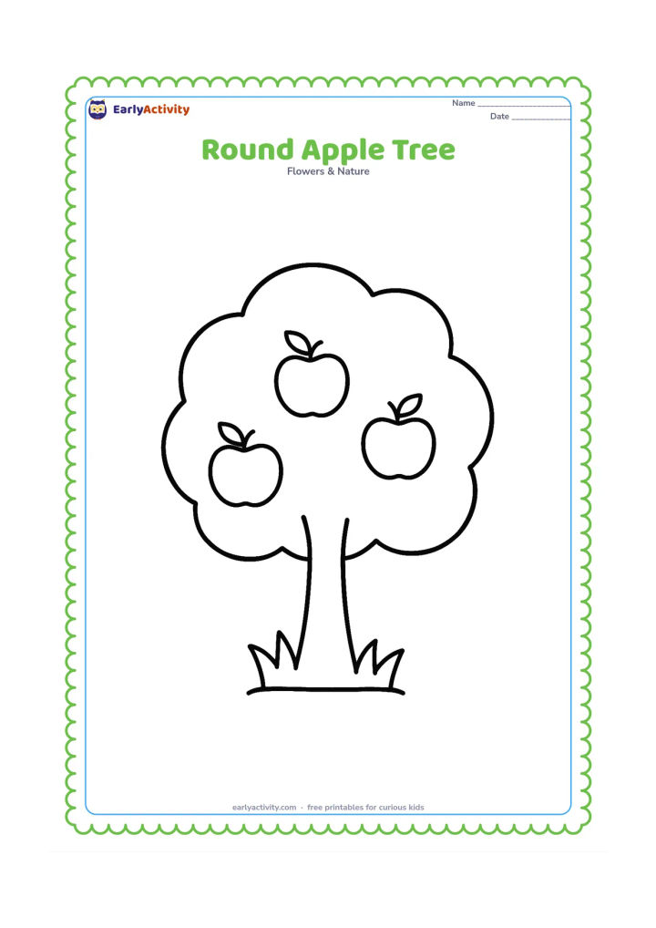 Colouring page: Draw one friendly apple tree with a broad round leafy crown, thick trunk, three large apples, and a simple patch of grass. Keep the composition open with very few details.